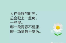 志励人生的句子简短,砥砺前行，成就非凡