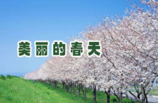 描写春天景色的短句,万物复苏