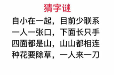 最难字谜,揭秘史上最难字谜的智慧之旅