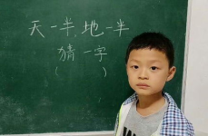 天一半地一半打一字,一“半”字解千愁