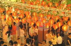 灯谜大全及答案2022,趣味猜谜，传承文化