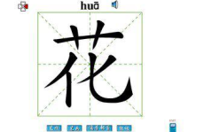 七人头上长了草谜底是什么,揭秘谜底背后的汉字智慧与趣味”