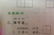 一只牛打一字谜底是什么,探寻“一只牛打一字”的谜底奥秘